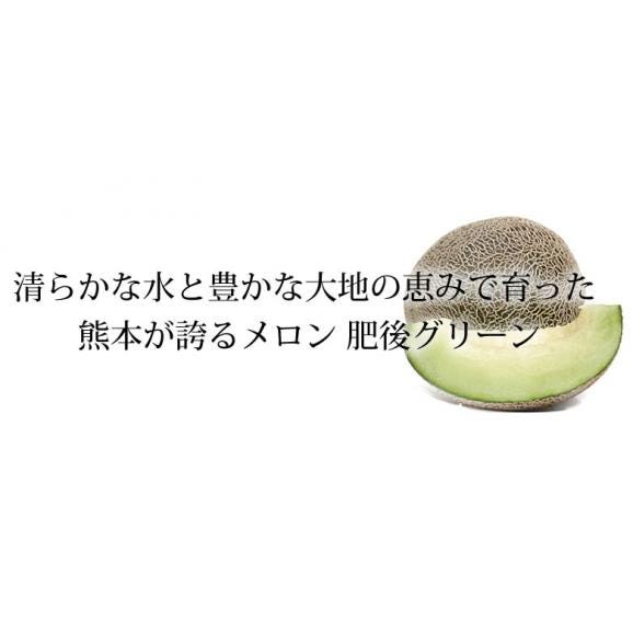 メロン 肥後グリーンメロン 送料無料 1玉 M～3L 熊本県産 肥後グリーン フルーツ お取り寄せ03