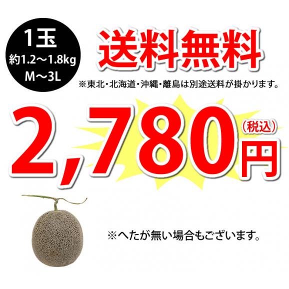 メロン 肥後グリーンメロン 送料無料 1玉 M～3L 熊本県産 肥後グリーン フルーツ お取り寄せ04