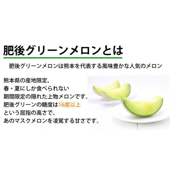 メロン 肥後グリーンメロン 送料無料 1玉 M～3L 熊本県産 肥後グリーン フルーツ お取り寄せ05