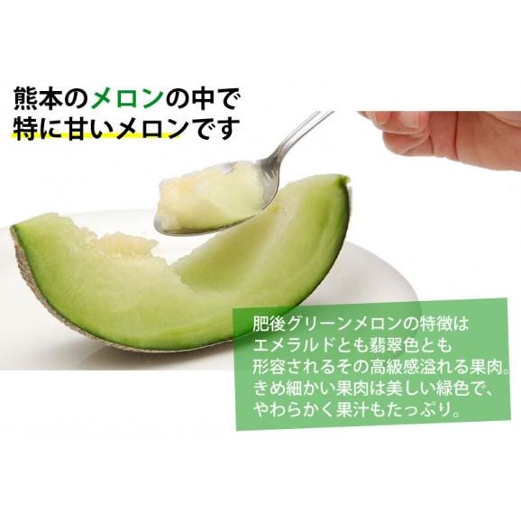 メロン 肥後グリーンメロン 送料無料 1玉 M～3L 熊本県産 肥後グリーン フルーツ お取り寄せ06