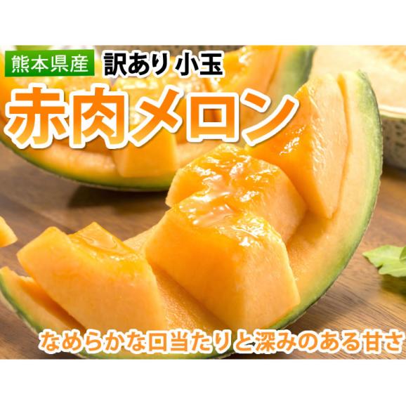 メロン 訳あり 小玉 赤肉メロン 4kg 送料無料  熊本県産 クインシーメロン フルーツ02