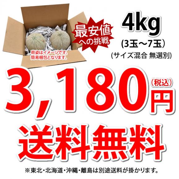 メロン 訳あり 小玉 赤肉メロン 4kg 送料無料  熊本県産 クインシーメロン フルーツ04