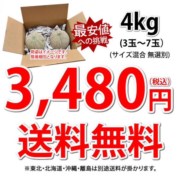 メロン 訳あり 小玉 赤肉メロン 4kg 送料無料 熊本県産 クインシーメロン フルーツ04