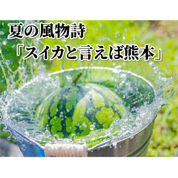 スイカ 訳あり すいか 送料無料 熊本すいか 2玉 (計約9kg～10kg）1玉辺り（約4.5～5kg） M～L 大玉すいか お取り寄せ お取り寄せグルメ 熊本県産 すいか 西瓜 フルーツ03