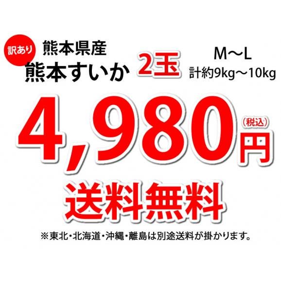 スイカ 訳あり すいか 送料無料 熊本すいか 2玉 (計約9kg～10kg）1玉辺り（約4.5～5kg） M～L 大玉すいか お取り寄せ お取り寄せグルメ 熊本県産 すいか 西瓜 フルーツ04