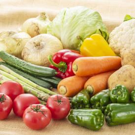 野菜セット 九州産 10〜12品目 送料無料 お取り寄せ 80サイズ箱 詰め合わせ やさい 産地直送 野菜 旬 トマト きゅうり キャベツ かぼちゃ 小松菜 ほうれん草 人参 じゃがいも 玉ねぎ 
