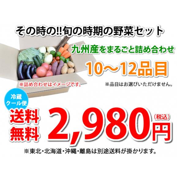 野菜セット 九州産 10〜12品目 送料無料 お取り寄せ 80サイズ箱