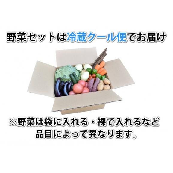 野菜セット 九州産 10〜12品目 送料無料 お取り寄せ 80サイズ箱 詰め合わせ やさい 産地直送 野菜 旬 トマト きゅうり キャベツ かぼちゃ 小松菜 ほうれん草 人参 じゃがいも 玉ねぎ 06