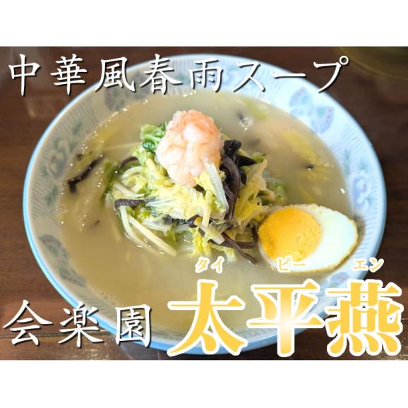 太平燕 会楽園 タイピーエン 送料無料 2食 熊本名物 お取り寄せ 春雨 はるさめ02
