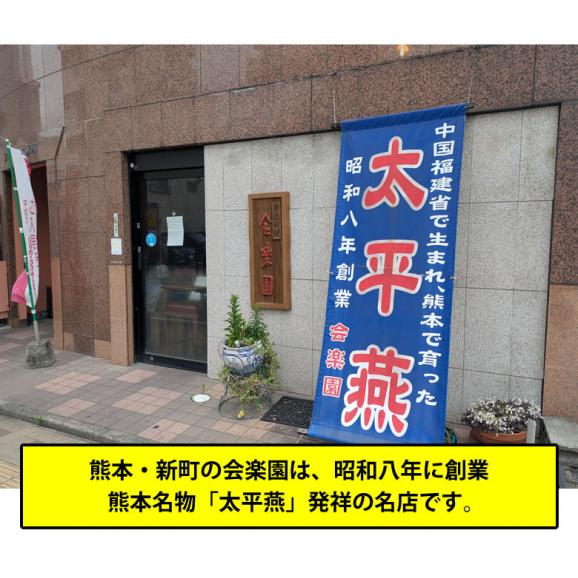 太平燕 会楽園 タイピーエン 送料無料 2食 熊本名物 お取り寄せ 春雨 はるさめ05