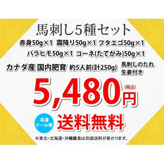 馬刺し 5種 盛り合わせセット 赤身 霜降り フタエゴ バラヒモ たてがみ 5人前 250g カナダ産国内肥育 馬刺 熊本直送 ギフト 馬肉 お取り寄せ 肉04