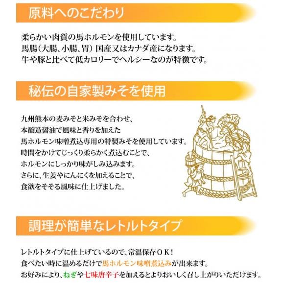 馬ホルモン 味噌煮込み 国産 馬肉 熊本 送料無料 150g×2袋 お取り寄せ おつまみ 馬もつ 大腸 小腸04