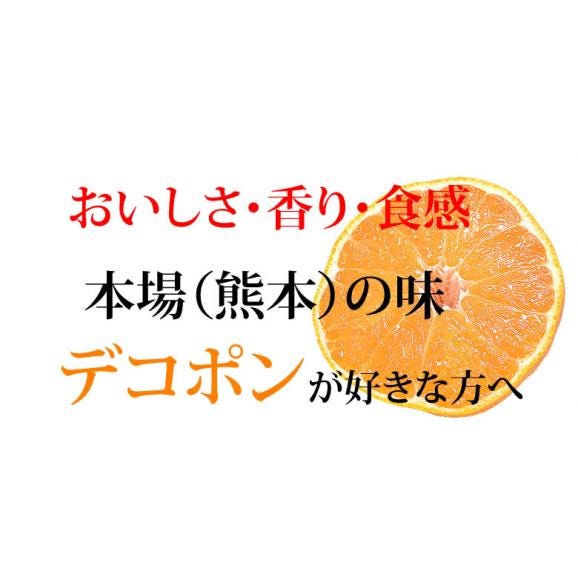 デコポン 光センサー選果 送料無料 秀品約2kg DEKOPON ハウス栽培 熊本県産 御歳暮 ギフト 不知火 フルーツ お取り寄せ みかん 蜜柑 ミカン03