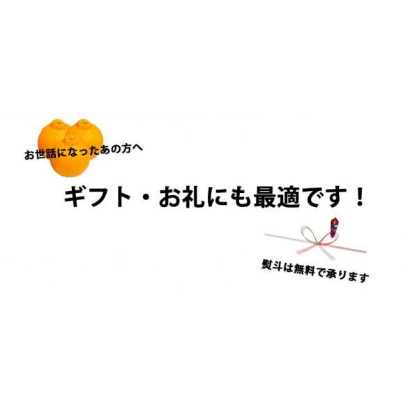 デコポン 光センサー選果 送料無料 約2kg DEKOPON ハウス栽培 熊本県産 御歳暮 ギフト 不知火 フルーツ お取り寄せ みかん 蜜柑 ミカン04