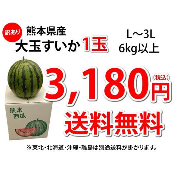 大玉すいか 6kg以上 すいか 訳あり 送料無料 1玉 L～3L 熊本すいか お取り寄せ スイカ 熊本県産 すいか 西瓜 フルーツ04