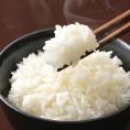 くまさんの輝き 無洗米 送料無料 計900g（300g×3袋） お試し 令和6年産 熊本県産 お米 白米 玄米 コシヒカリ ヒノヒカリ 森のくまさん