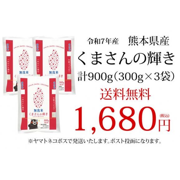 くまさんの輝き 無洗米 送料無料 計900g(300g×3袋) お試し 令和7年産 熊本県産 お米 白米 玄米 コシヒカリ ヒノヒカリ 森のくまさん03