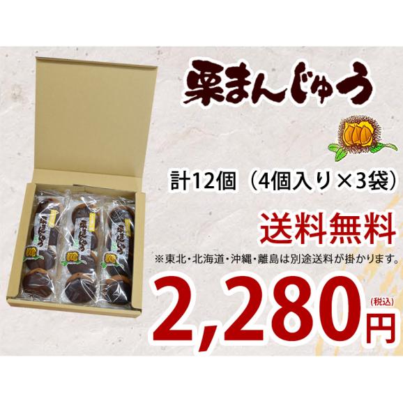 栗まんじゅう 饅頭 送料無料 計12個(4個×3袋) 2セット購入で1セットおまけ 和菓子 栗 まんじゅう スイーツ03