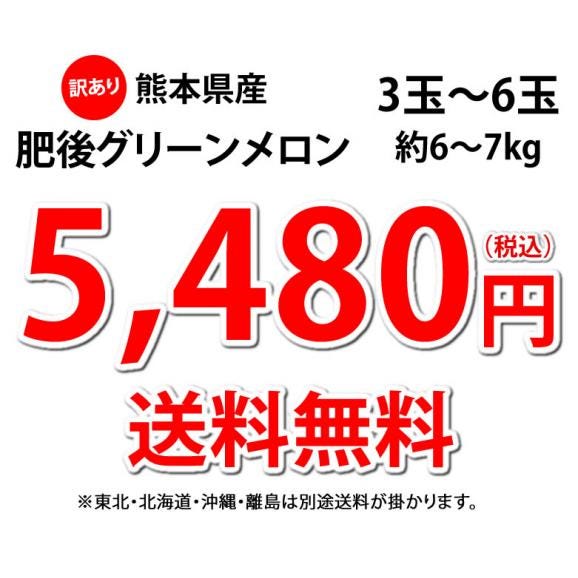 メロン 訳あり 送料無料 肥後グリーンメロン 約6~7kg 3~6玉 熊本県産 肥後グリーン フルーツ お取り寄せ04