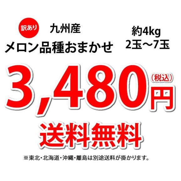 メロン 訳あり 送料無料 約4kg（2〜7玉）品種おまかせ 九州産 キンショウメロン・イエローキング・エリザベス・肥後グリーン・プリンス・レノン・タカミ・アムス・ クインシーメロン・リゾート・アンデス03