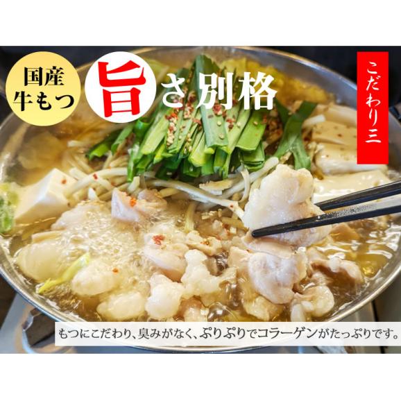 国産牛もつ鍋 大容量 10人前 送料無料 【大山監修】 国産牛モツ鍋セット醤油味 お取り寄せ もつなべ 牛もつ 小腸 大腸 ギアラ05