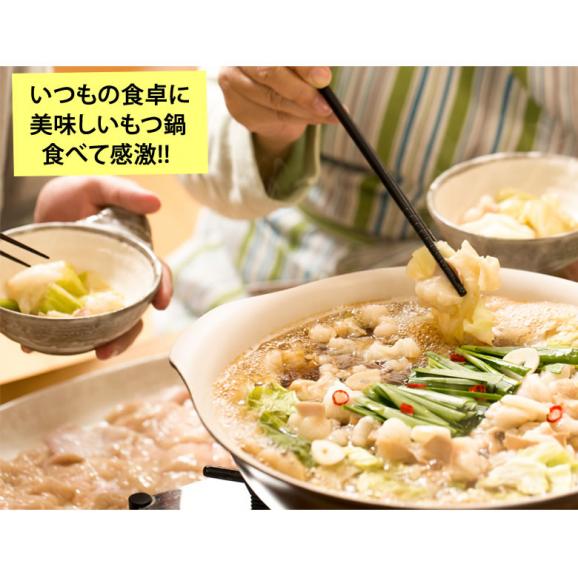 国産牛もつ鍋 大容量 10人前 送料無料 【大山監修】 国産牛モツ鍋セット醤油味 お取り寄せ もつなべ 牛もつ 小腸 大腸 ギアラ06