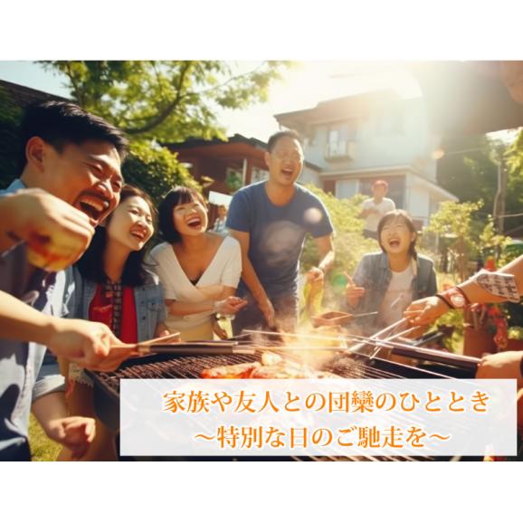 国産牛ロースステーキ　計約720g（約180g×4枚） 牛肉 酵素加工 ステーキ06