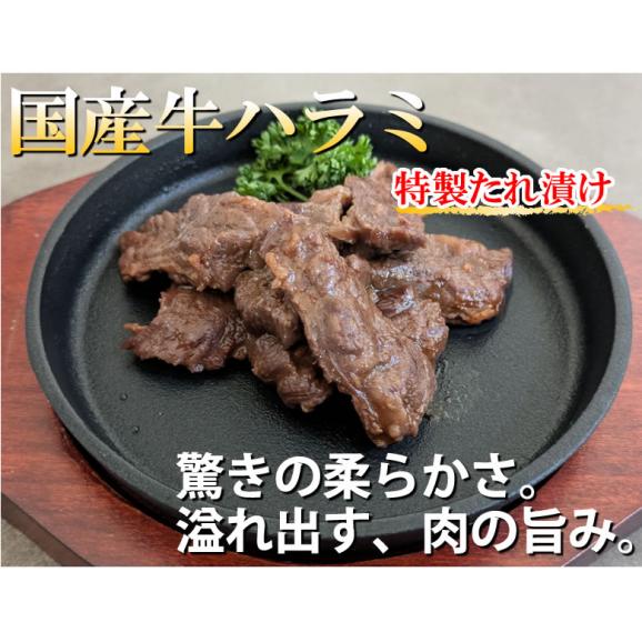 国産牛 ハラミ味付け 送料無料 計700g(350g×2パック) 牛肉 プルコギ味02