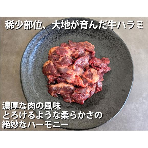 国産牛 ハラミ味付け 送料無料 計700g(350g×2パック) 牛肉 プルコギ味04