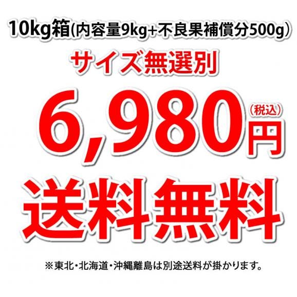 りんご 訳あり 10kg 箱込 (内容量9kg+不良果補償分500g)  送料無料 リンゴ 長野・青森県産 サンふじ つがる ジョナゴールド03