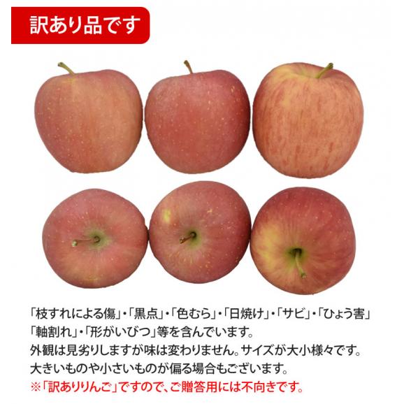 りんご 訳あり 10kg 箱込 (内容量9kg+不良果補償分500g)  送料無料 リンゴ 長野・青森県産 サンふじ つがる ジョナゴールド04