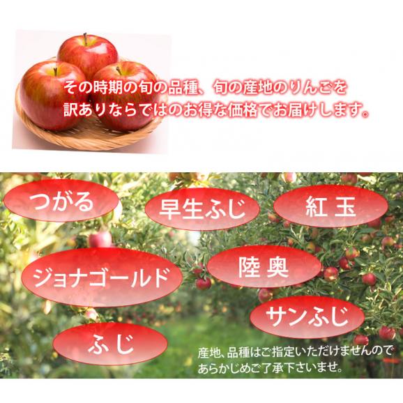 りんご 訳あり 10kg 箱込 (内容量9kg+不良果補償分500g)  送料無料 リンゴ 長野・青森県産 サンふじ つがる ジョナゴールド05