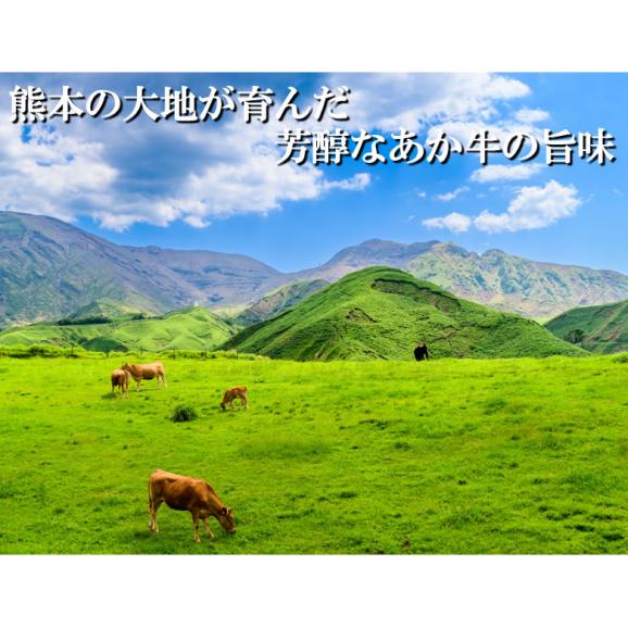 赤牛ローストビーフ 熊本和牛 送料無料 200g 牛肉 ビーフ04