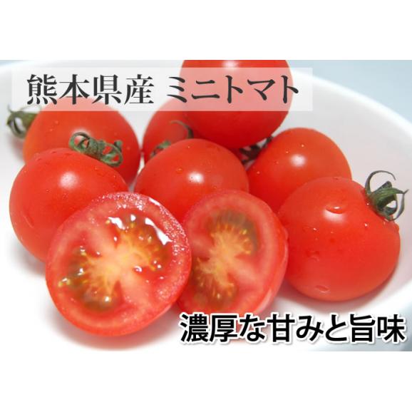 ミニトマト トマト 訳あり 送料無料 1kg 2箱購入で1箱おまけ 熊本県産 クール便でお届け お取り寄せ 野菜02