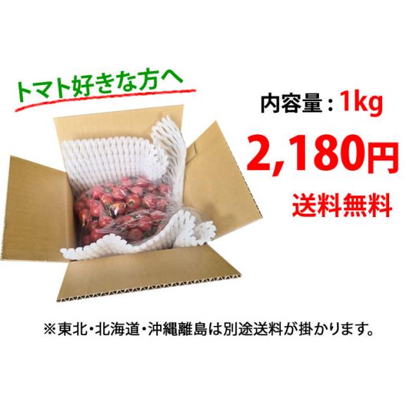 ミニトマト トマト 訳あり 送料無料 1kg 2箱購入で1箱おまけ 熊本県産 クール便でお届け お取り寄せ 野菜03