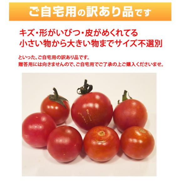 ミニトマト トマト 訳あり 送料無料 1kg 2箱購入で1箱おまけ 熊本県産 クール便でお届け お取り寄せ 野菜04
