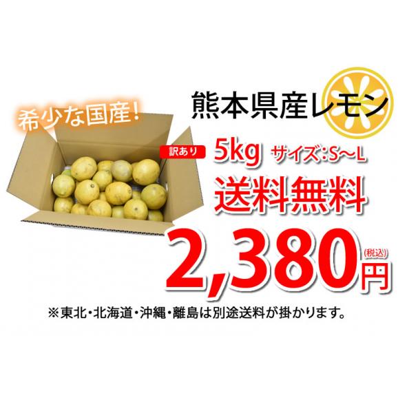 レモン 訳あり 国産レモン 送料無料 5kg 熊本県産 減農薬 防腐剤ワックス不使用 れもん グリーンレモン 国産03