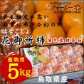 【早期予約】こおげ 花御所柿【進物用】（Ｌ-4Ｌ混じり）５ｋｇ〔送料無料〕〔鳥取県特産品〕[常温]【11月下旬以降予約順に出荷】【柿】【はなごしょ】【かき】【カキ】