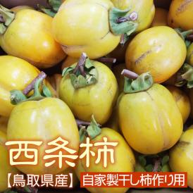 【自家製干し柿作り用（つるし柿）】西条柿【渋柿】約5ｋｇ〔送料無料〕〔鳥取県産〕[常温]10月下旬から11月上旬頃予約順出荷