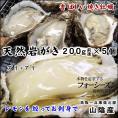 送料無料【山陰産】天然岩牡蠣（カキ）[生]5個セット約1kg（200g前後が5個入）【6月中旬以降受付け順出荷（指定不可）】
