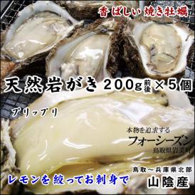 送料無料！【山陰産】天然岩牡蠣（カキ）[生]5個セット約1kg（200g前後が5個入）