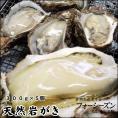 送料無料【山陰産】天然岩牡蠣[生]大 5個セット（300g前後が5個入）【6月中旬漁が有り次第発送（日にち指定不可）】夏輝牡蠣
