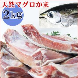 送料無料】ベトナム ”白身魚 バサフィレ” 40～60枚前後 約10kg 三枚