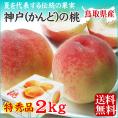 送料無料【鳥取県神戸(かんど)の桃】2ｋｇセット(ご進物用 特秀品 6-8玉入り)[冷蔵]【化粧箱入り】［鳥取県産］【7月下旬以降収穫があり次第出荷】【お中元ギフト】