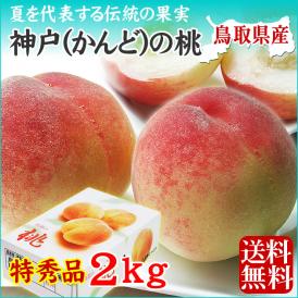 送料無料【鳥取県神戸(かんど)の桃】<br>2ｋｇセット(ご進物用 特秀品 6-8玉入り)[冷蔵]【化粧箱入り】<br>［鳥取県産］【7月下旬以降収穫があり次第出荷】【お中元ギフト】