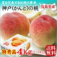 送料無料【鳥取県神戸(かんど)の桃】4ｋｇセット(ご進物用 特秀品 11-14玉入り)[冷蔵]【化粧箱入り】［鳥取県産］【7月下旬以降収穫があり次第出荷】【お中元ギフト】