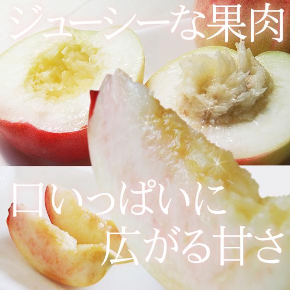 送料無料【鳥取県神戸(かんど)の桃】4ｋｇセット(ご進物用 特秀品 11-14玉入り)[冷蔵]【化粧箱入り】［鳥取県産］【7月下旬以降収穫があり次第出荷】【お中元ギフト】02