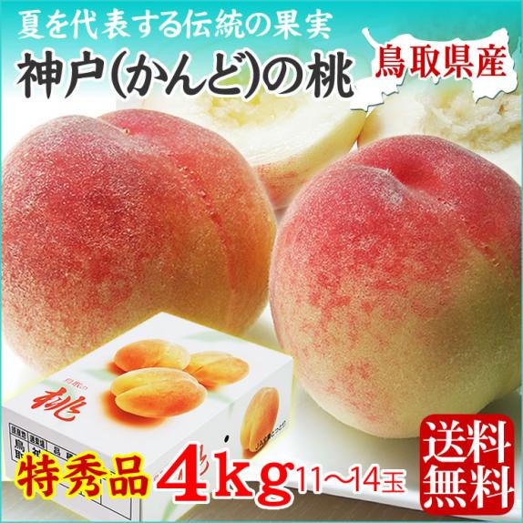 摘果桃 大きめサイズ 約１５キロ 送料込み 加工用もも 摘果桃 若桃 加工用 15キロ - メルカリ