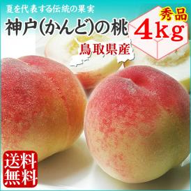 送料無料【鳥取県神戸(かんど)の桃】４ｋｇセット(秀品 11-13玉入り)［鳥取県産］冷蔵【お中元ギフト】【7月下旬以降収穫があり次第（日にち指定不可）】