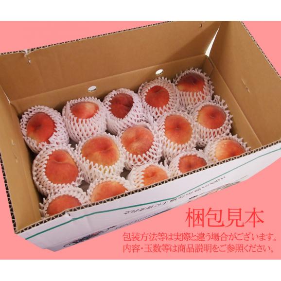 送料無料【鳥取県神戸(かんど)の桃】４ｋｇセット(秀品 11-13玉入り)［鳥取県産］冷蔵【お中元ギフト】【7月下旬以降収穫があり次第（日にち指定不可）】02